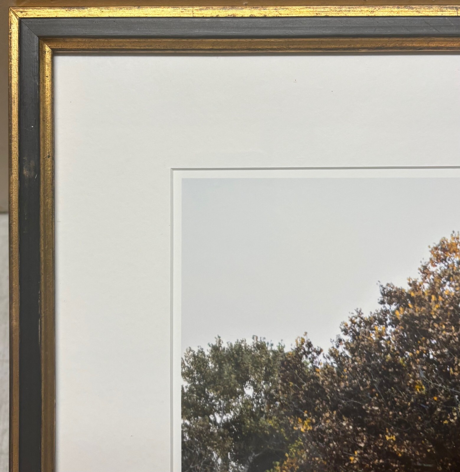 Vintage SUSANNAH HAYS ‘Star Vibrations’ SANTA FE New Mexico Landscape PHOTO