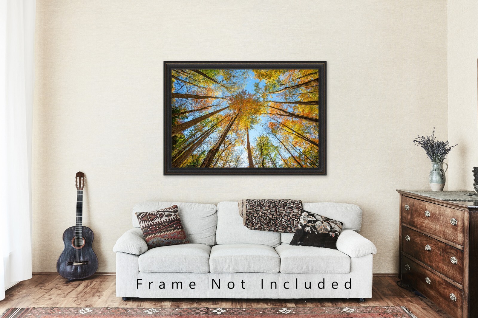 Nature Photography Print – Looking Up in Trees Great Smoky Mountains Tennessee