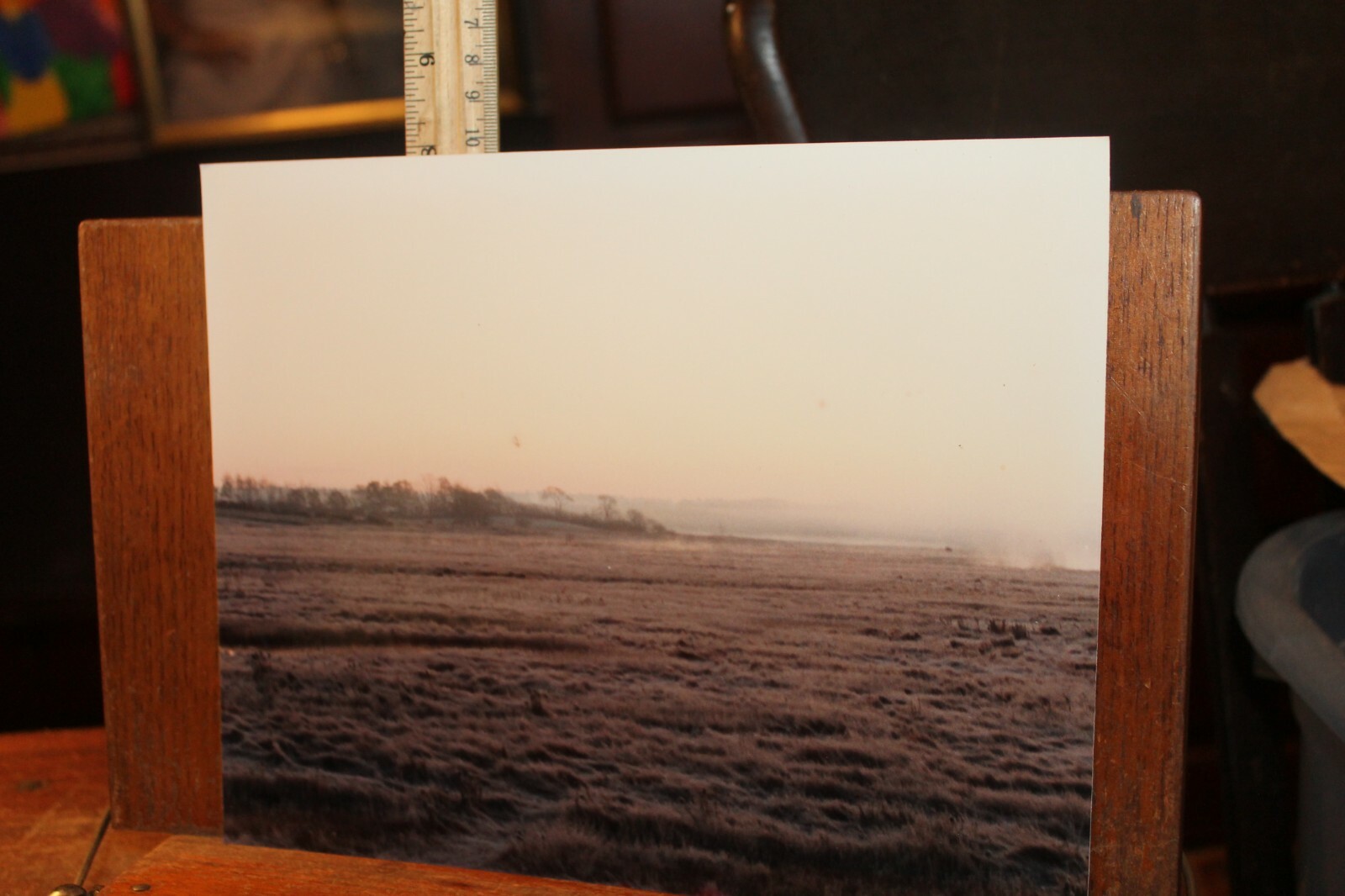 Vintage 8×10 Photo W. Beebe East Tennessee Winter Fields