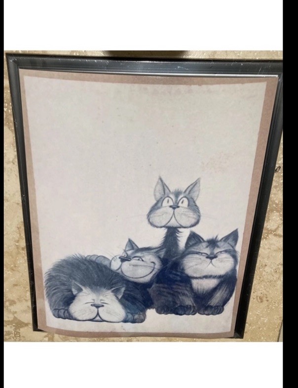 Hilarious cat photo art 8” x 10”