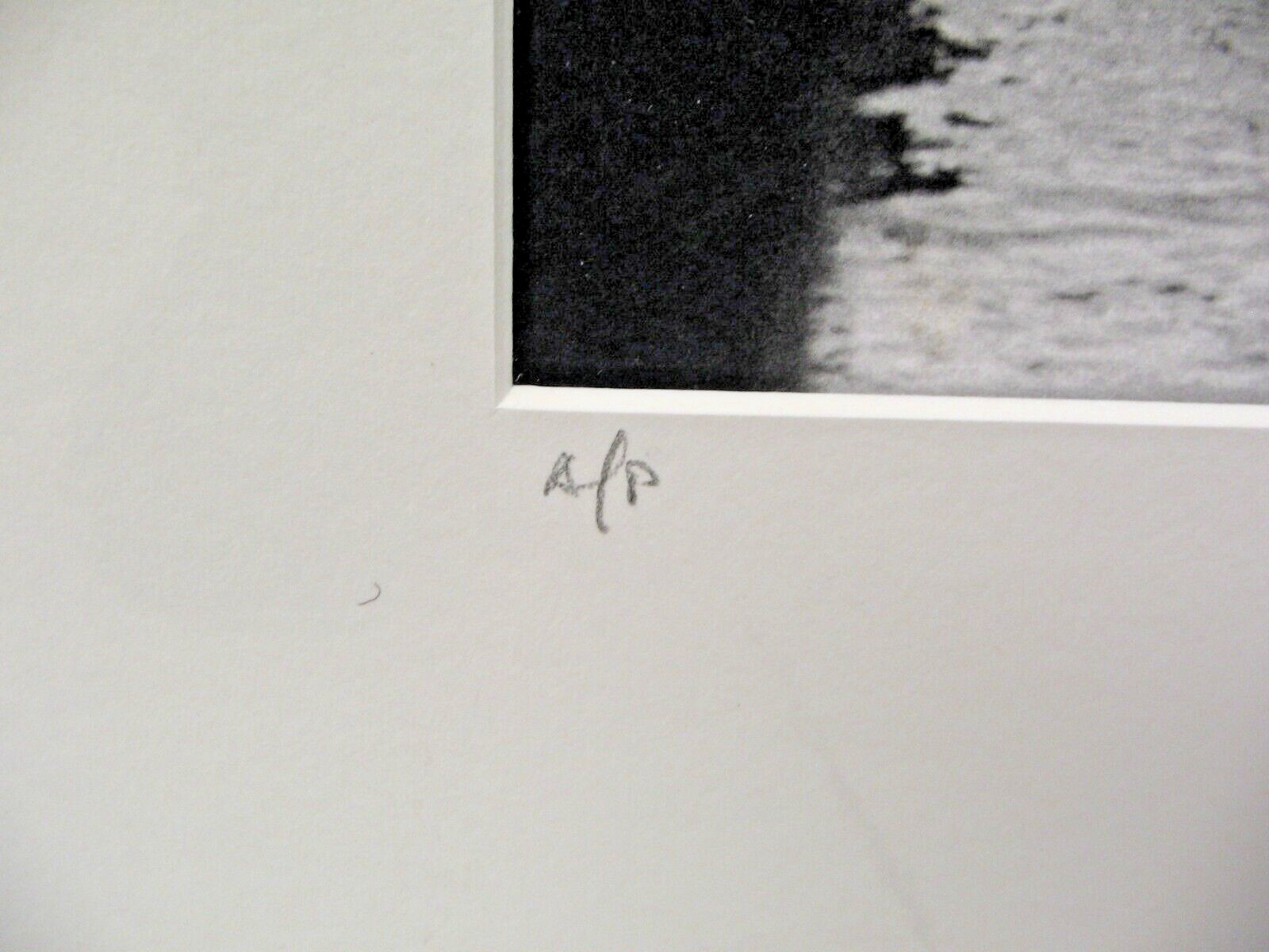 ART PHOTOGRAPHY 16×20 Pelican Perch B&W A/P Matte Acid Free by Larry Santucci