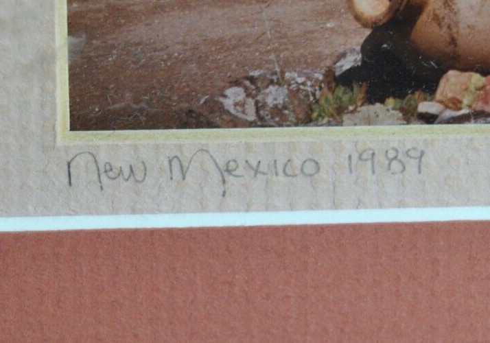 Vintage 1989 New Mexico Framed and Double Matted Photograph Signed and Dated