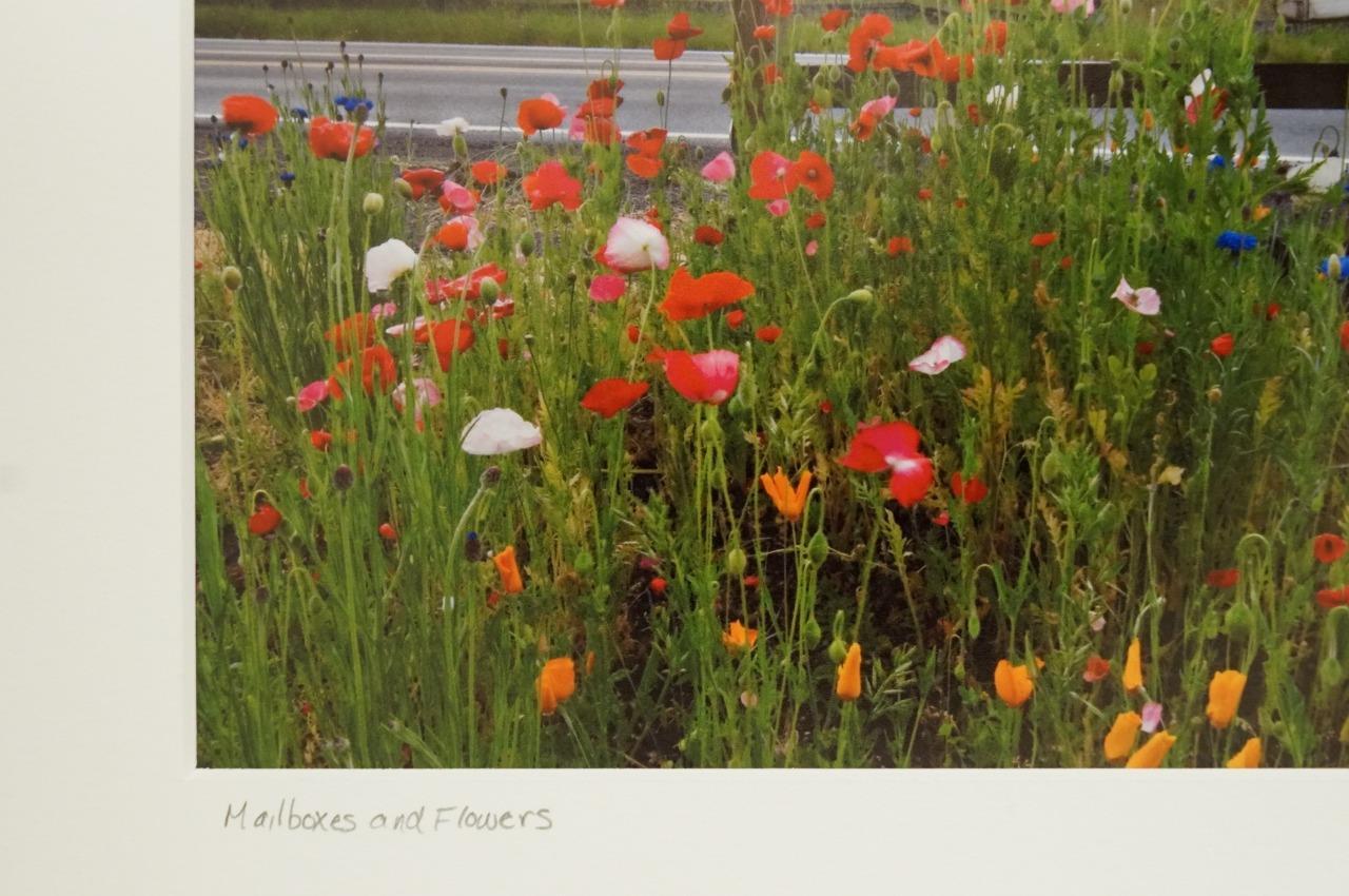 Tom Adams Photography Rural Road Mailboxes Poppies Flowers Oregon Photo Art 8×10
