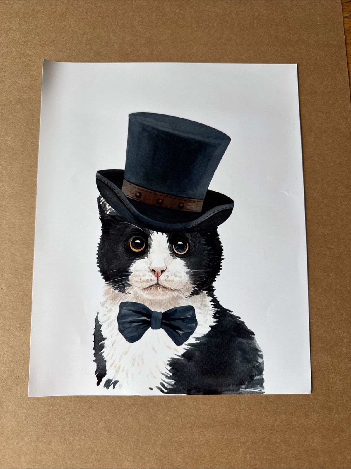 Tuxedo Cat 8 x 10 Photograph Photo Picture Art Print Wall Hanging – free US ship