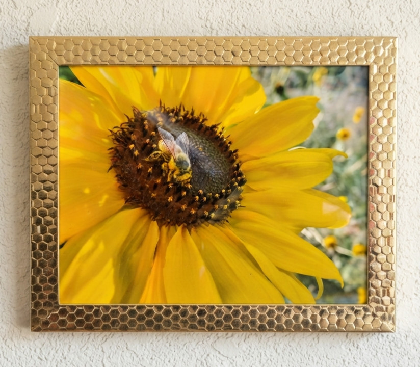 8×10 Signed Honeybee Sunflower Photo Ornate Gold Honeycomb Frame by Audra Deane