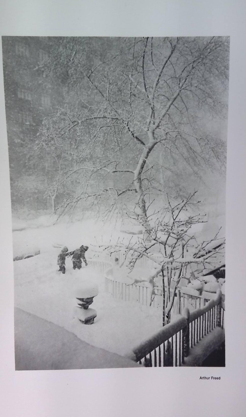 EIGHT PHOTOGRAPHS. 3 PROTFOLIOS BY LESLIE KRIMS, ARTHUR FREED & JERRY UELSMANN