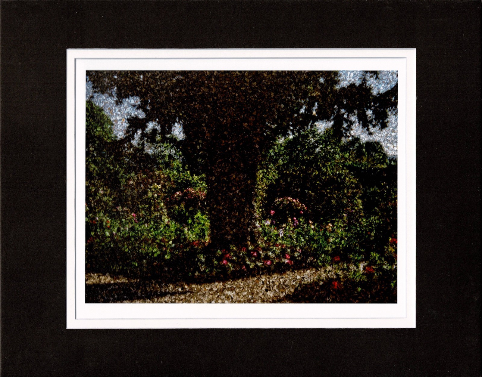 Abelardo Morell Yew Tree Monet’s Garden Giclee Limited Ed Photograph Print 2024