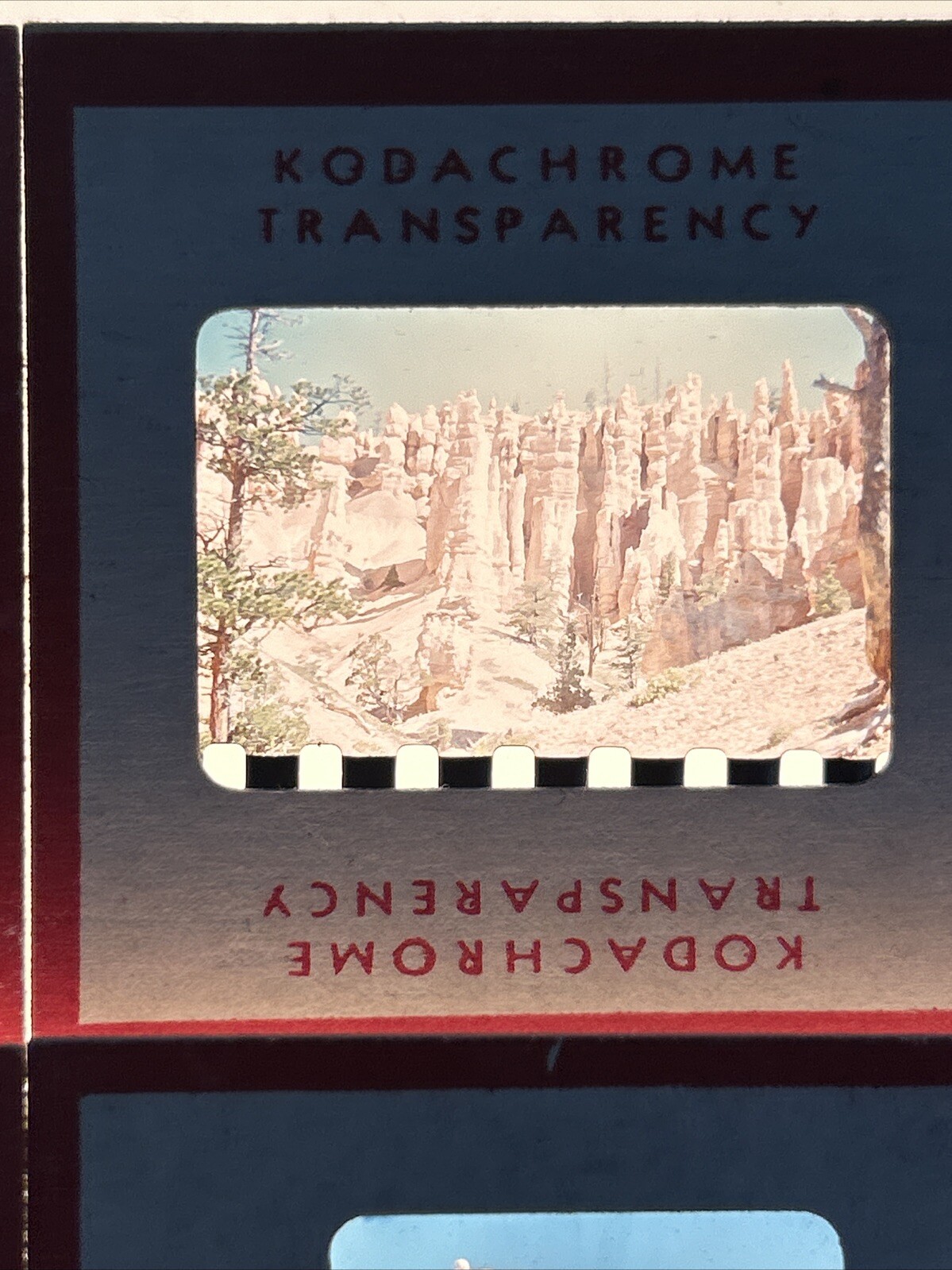 Kodachrome Red Border Lot Of 40 1950’s Camping Trip Flowers 35mm Color Slides