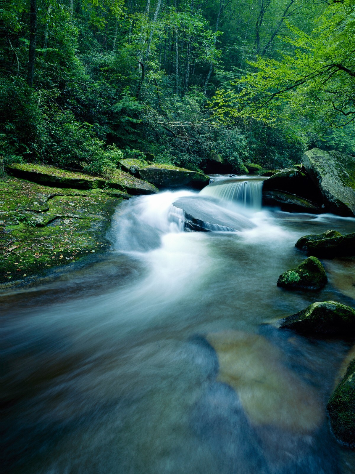Photographs printed as 18″x24″ gallery-wrap canvases, 1.5″ deep bars, $150