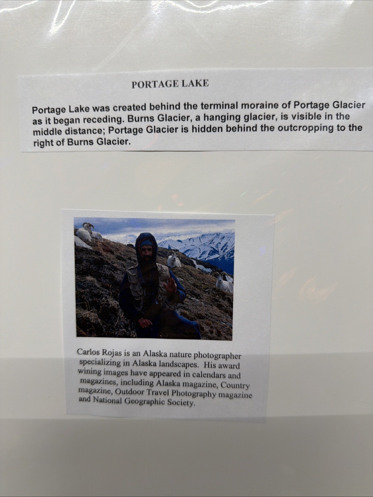 Portage Lake In Alaska A Hand Signed Print By Carlos Rojas