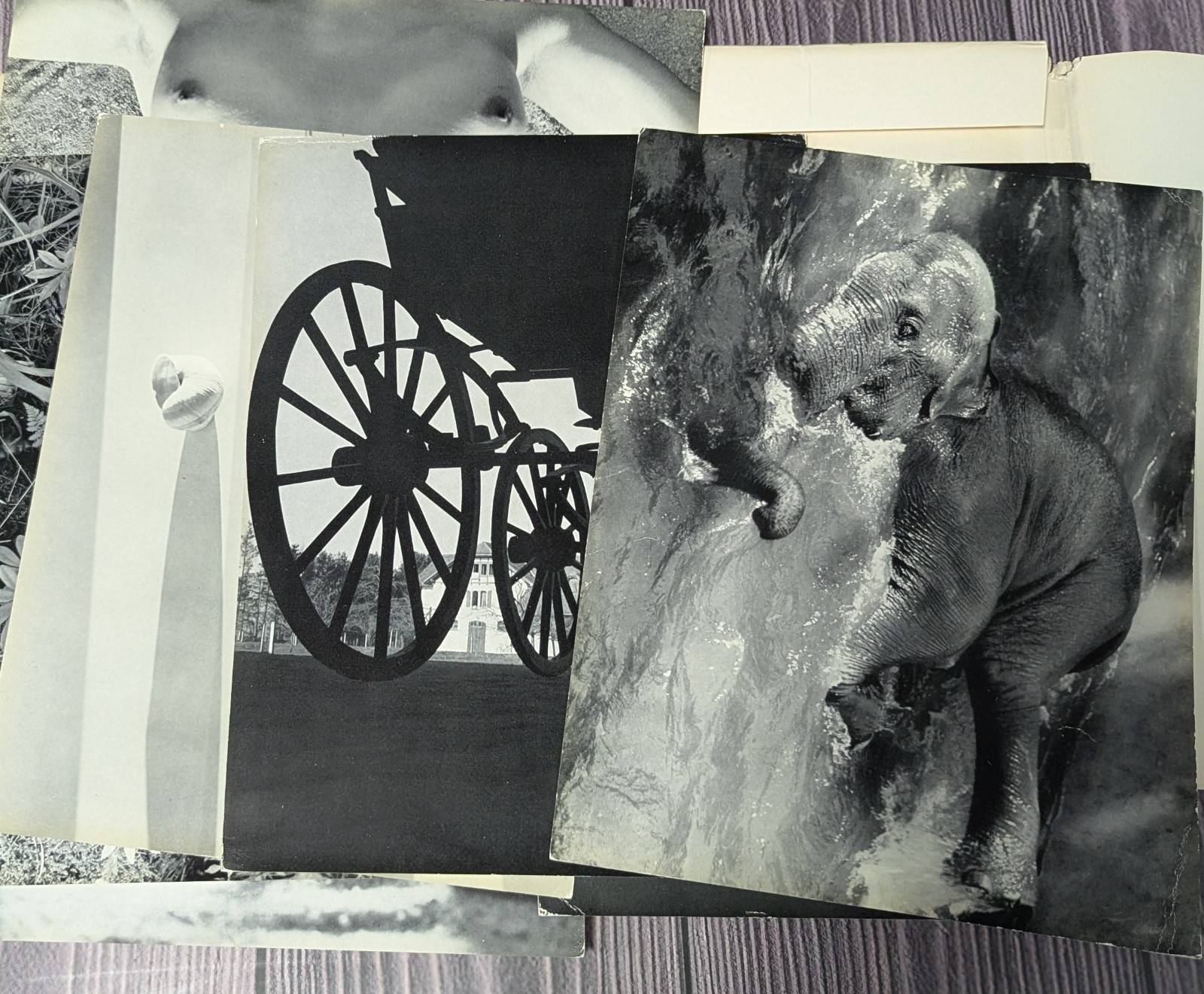 Werner Bischof – Portfolio of 24 Black & White Photographs – Scarce