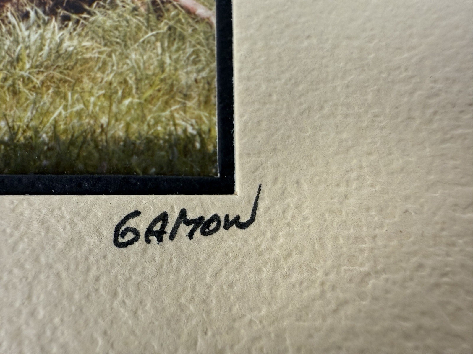 Gamow signed Hay Wagon Wheel Farm Cart in Field Photography Art 5″ x 7″ Mated