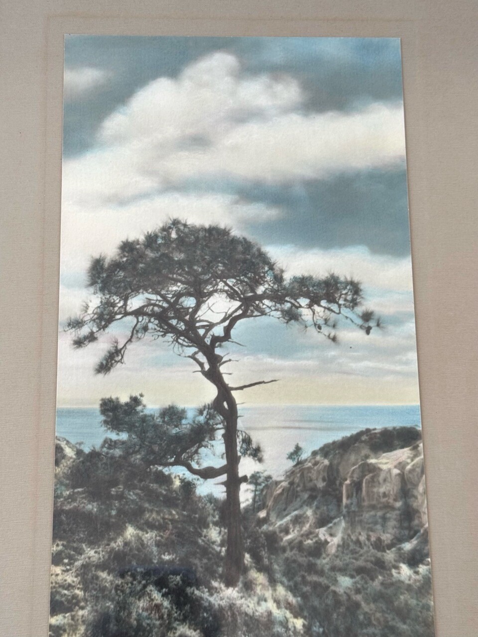 Lg VTG J.M. Garrison Hand Tinted Oil Color Photo Torrey Pines 12.5”x23.5” VGC