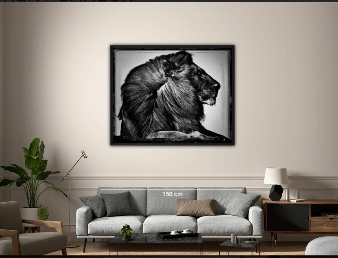 Original Artist Metal Print 24″ x 30″ “CRINIÈRE DE LION” Limited Ed. Sold Out.
