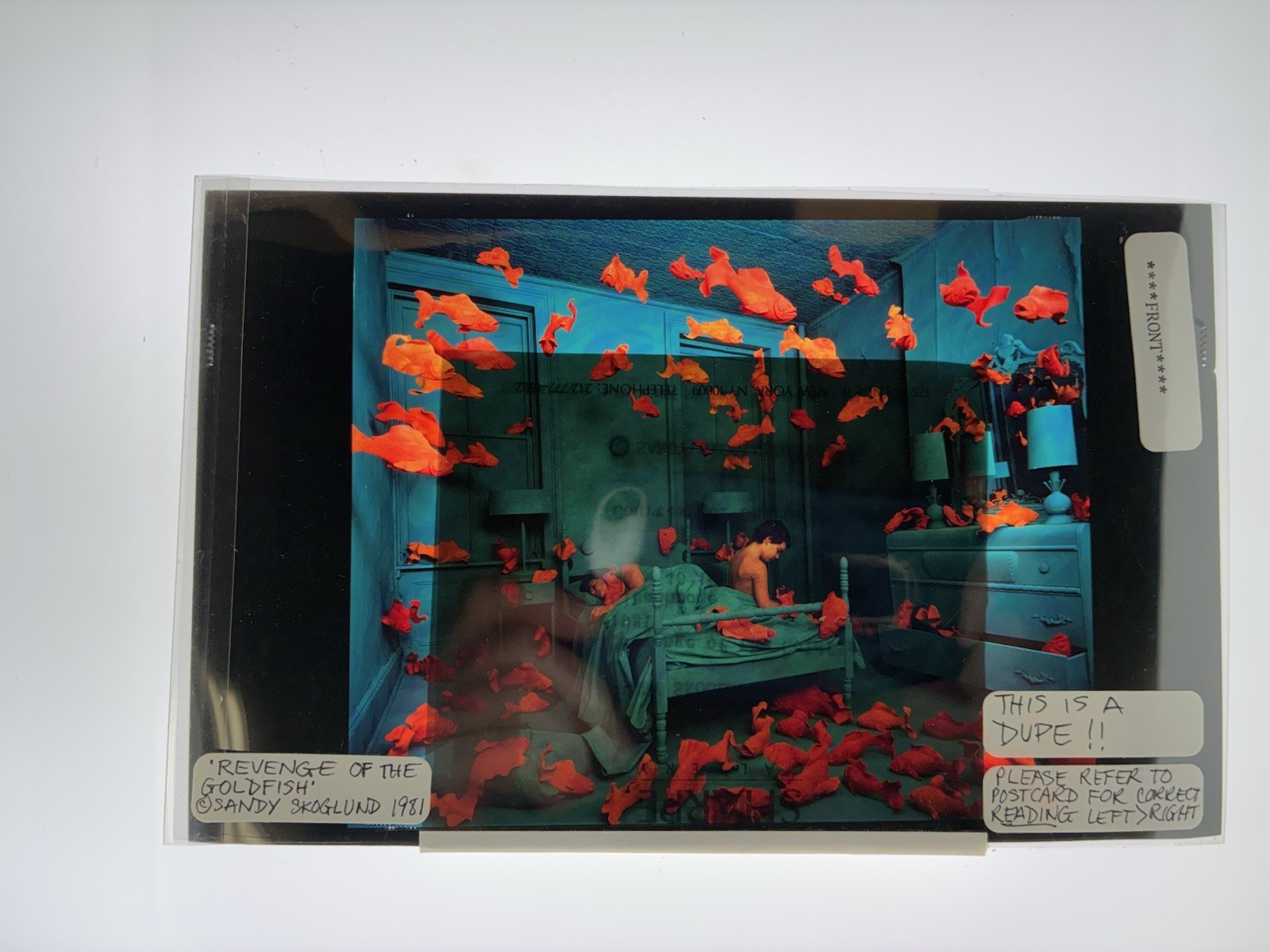 Sandy Skoglund Transparency Archive Lot Revenge Goldfish Radioactive Cats