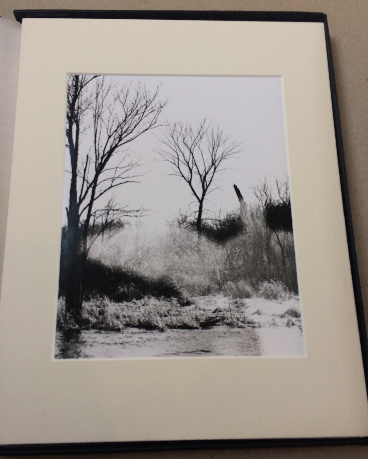 Robert Bery Angels in the Forest – Portfolio of 7 original photographic prints