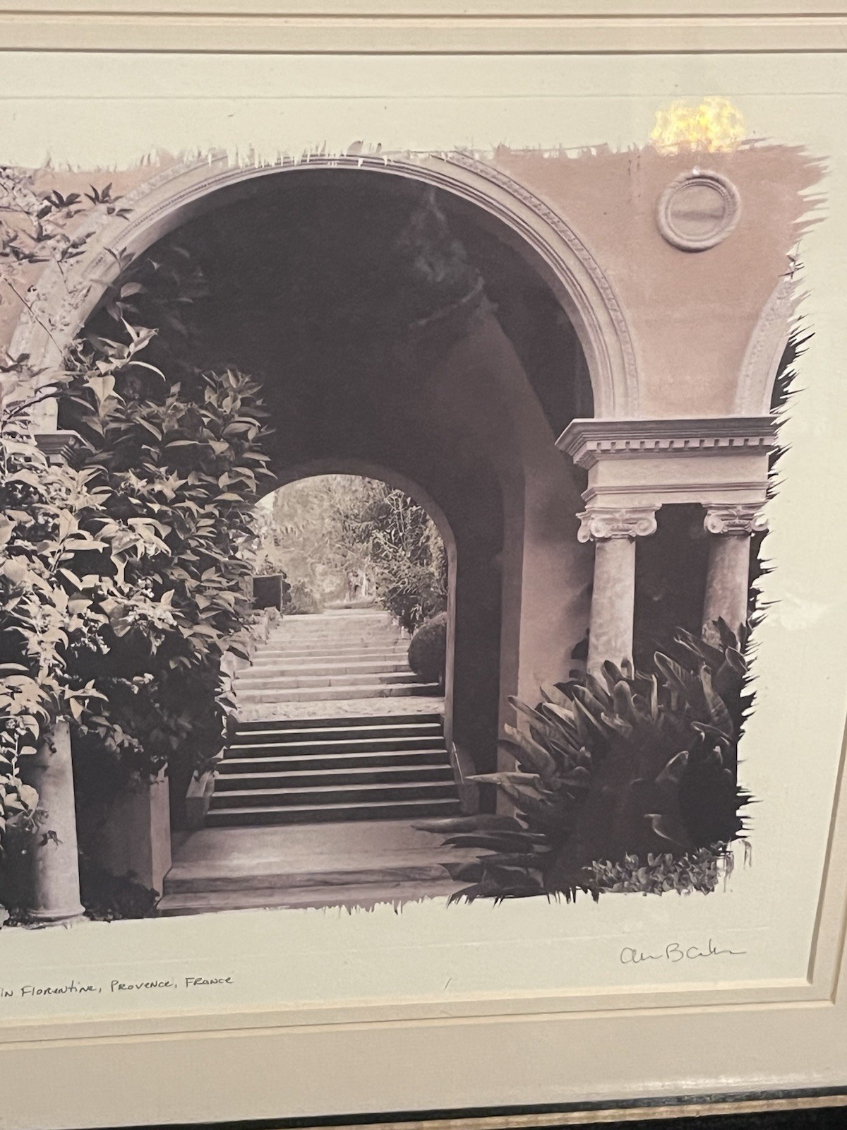 European Garden By Allan Blaustein Photography Framed With Glass 18 1/2 X 18 1/2