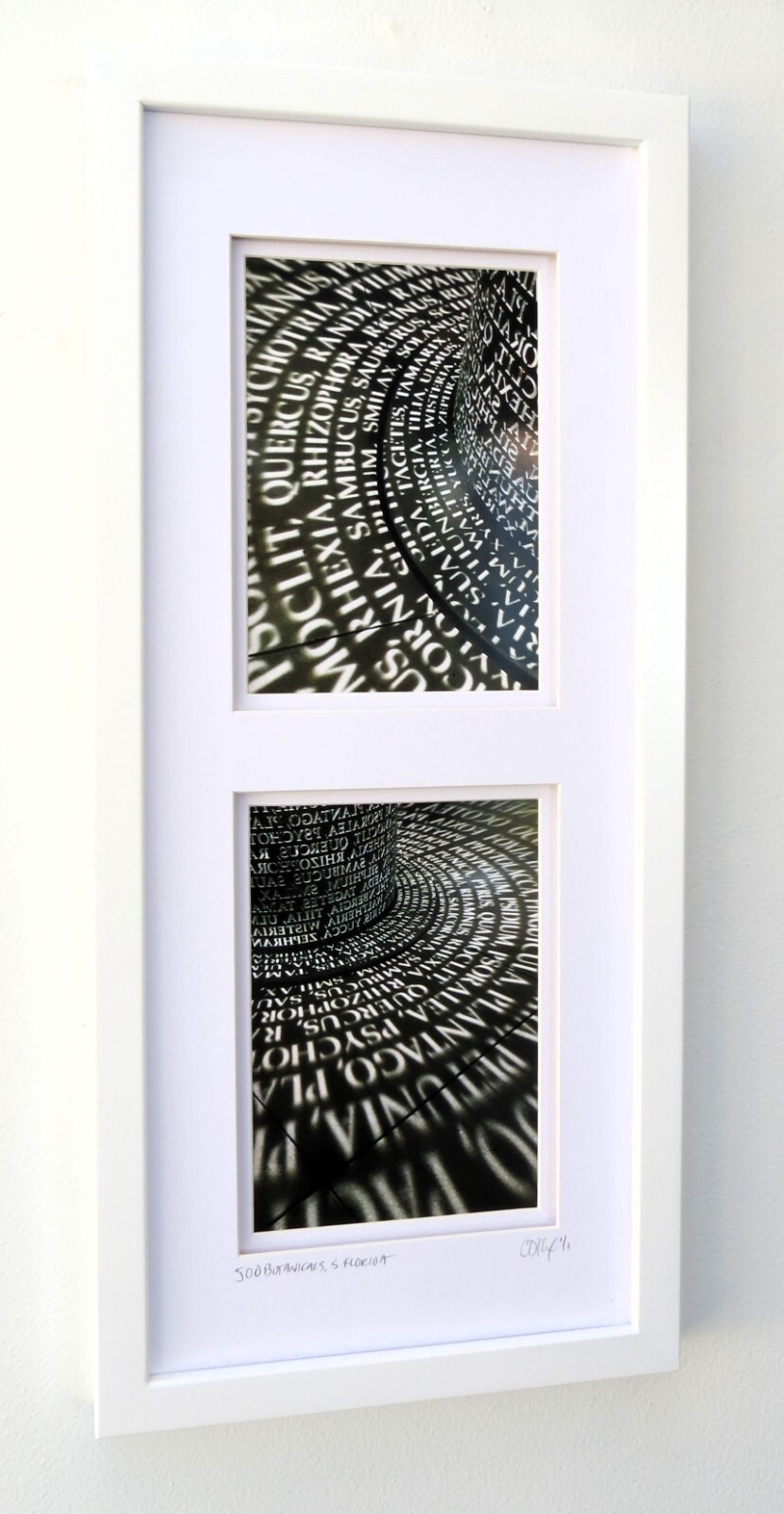 Framed Original Photography, Architectural, Travel, Sculpture by C. Damien Fox