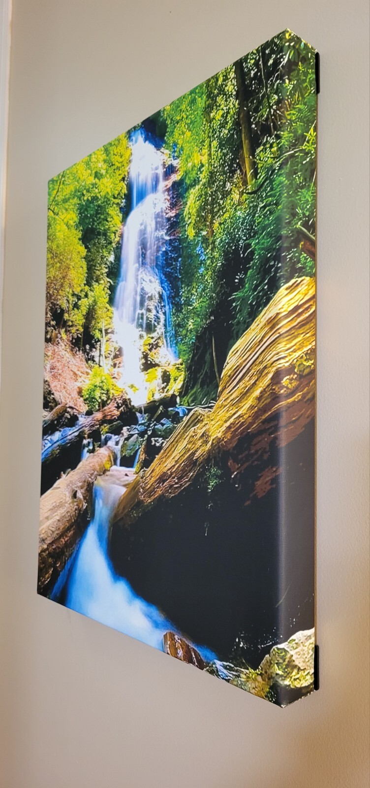 Canvas Photo Mingo Falls Cherokee, NC 16×20 Signed Ltd Edition Gallery Wrapped