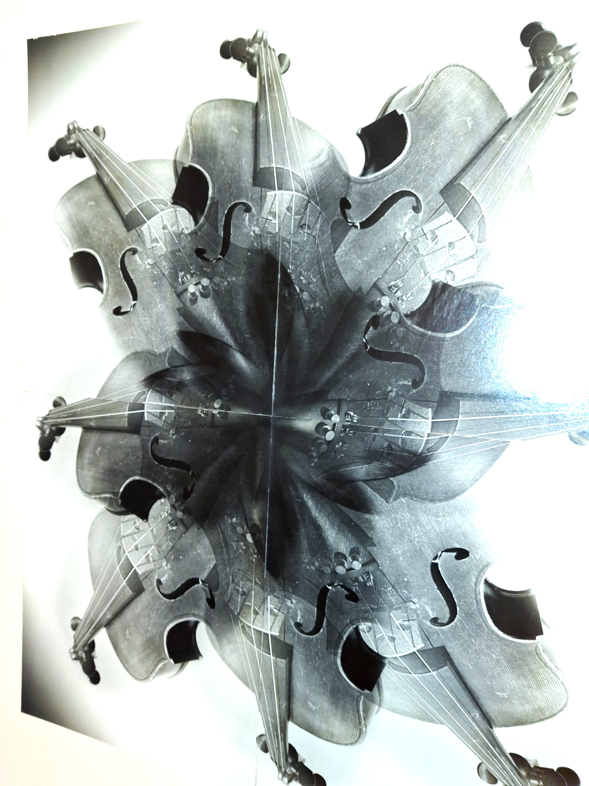 Vintage 1979 Fine Art Photo, Silver Gelatin Print 20×16″, Signed, COA, Violin