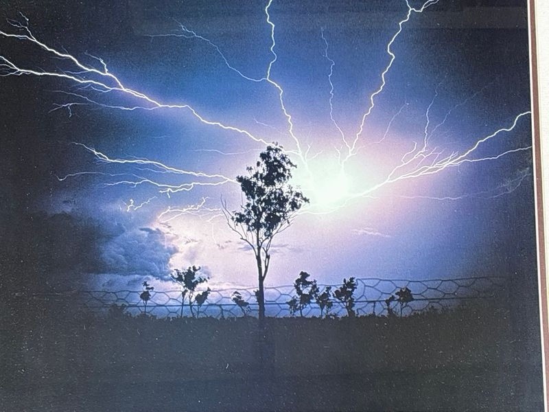 Lightning Storm Tree Photograph Framed Matted Wall Art Nature Print 29×25