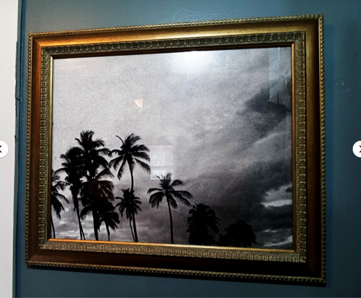 Tropicoco Palmas, Cuba, dyptych 16 x 20in Left/Right art photos, Mel Gonz, 2017