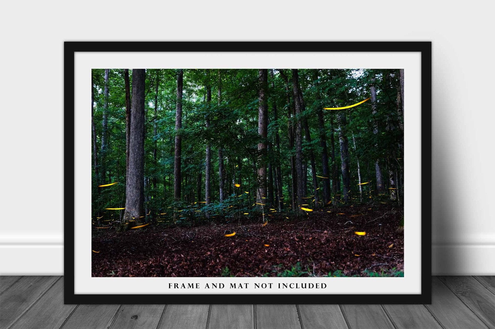 Fireflies Photography Print: Tennessee Lightning Bugs Forest Summer Nature Photo