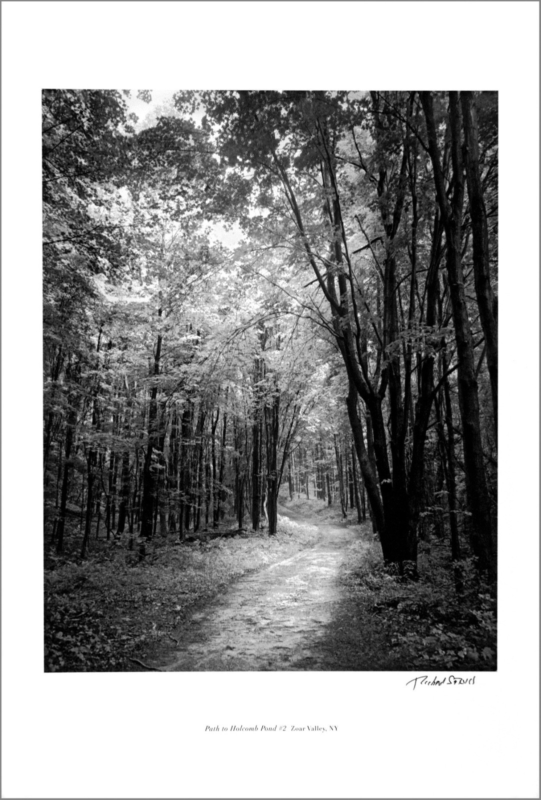Western New York – Zoar Valley – 13×19” Piezo Print – Signed