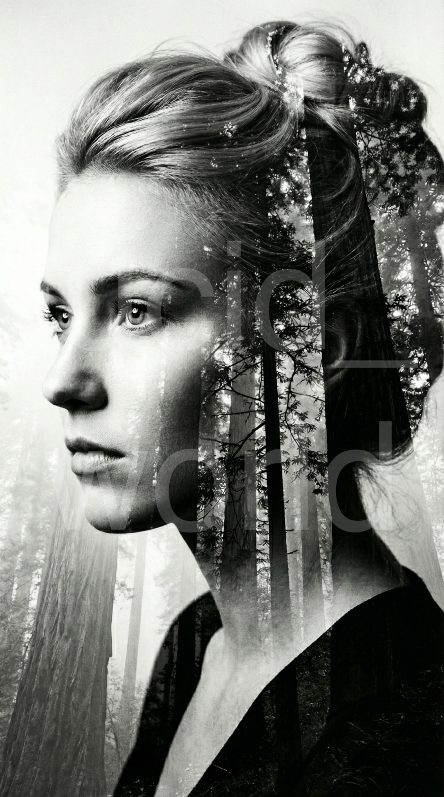 Woman with Updo in Misty Forest Double Exposure Digital Download Printable Art