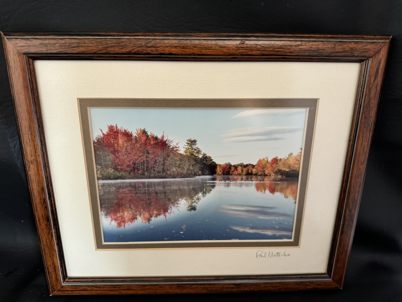 Signed Photo Framed Wall Art Fall Trees, Lake Country Photo Art