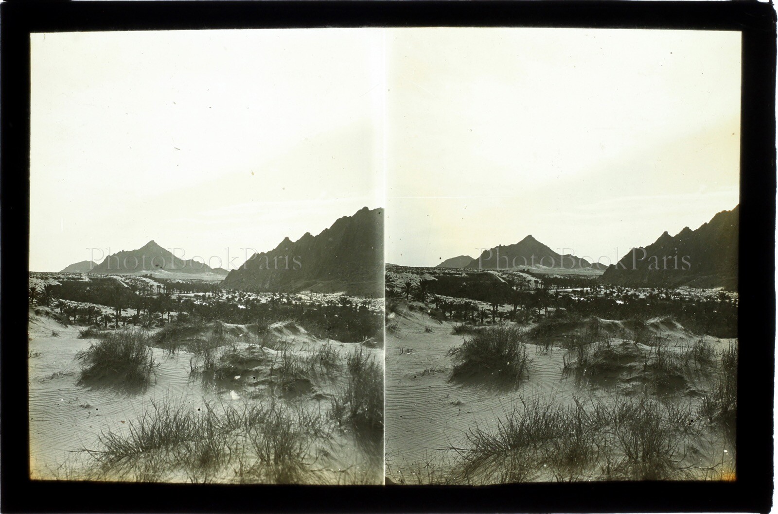 MAROC Figuig Oued Zouzfana Desert C1900, Photo Stereo Vintage Plate