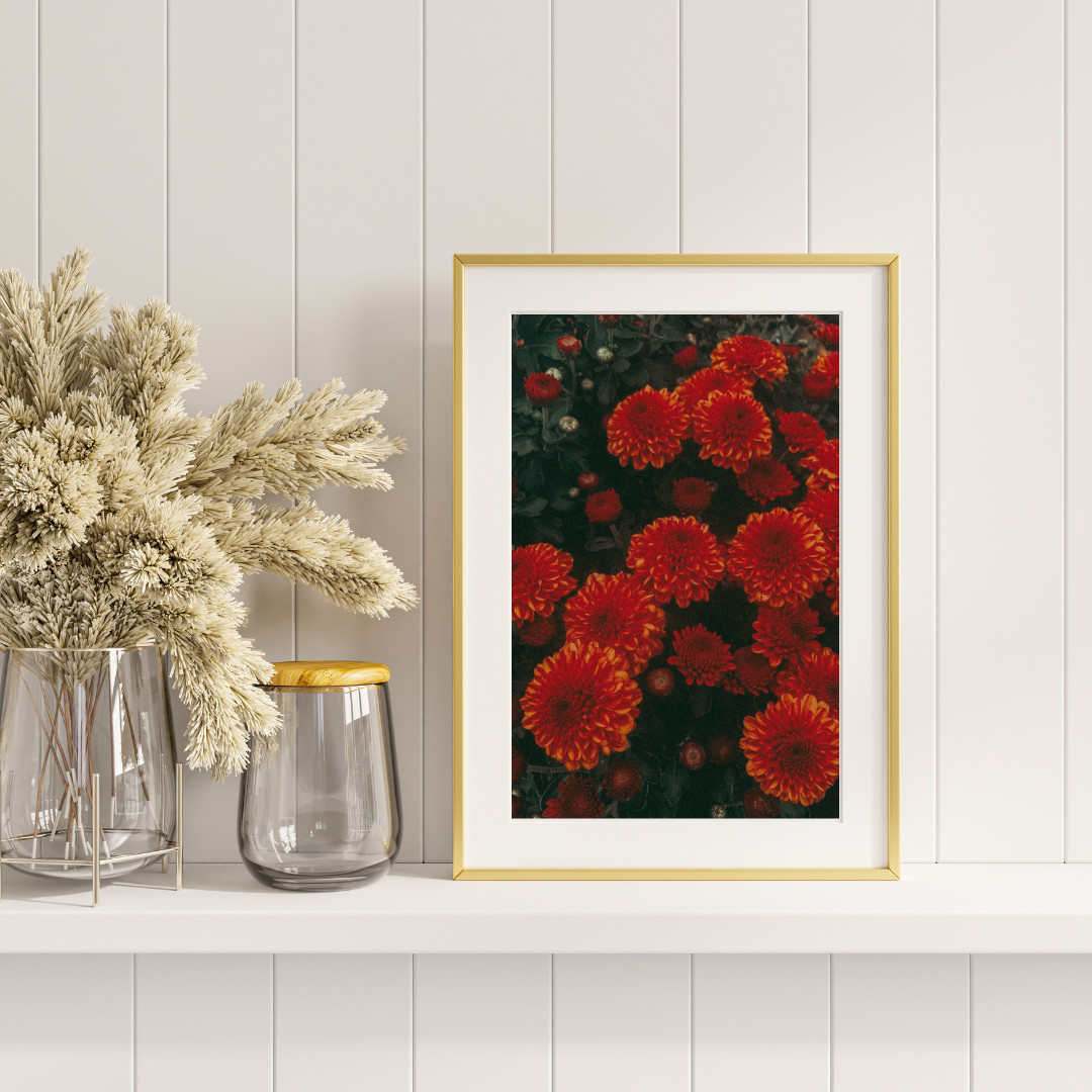 Marigold Flower Photography Print – Nature Home Décor, 5×7