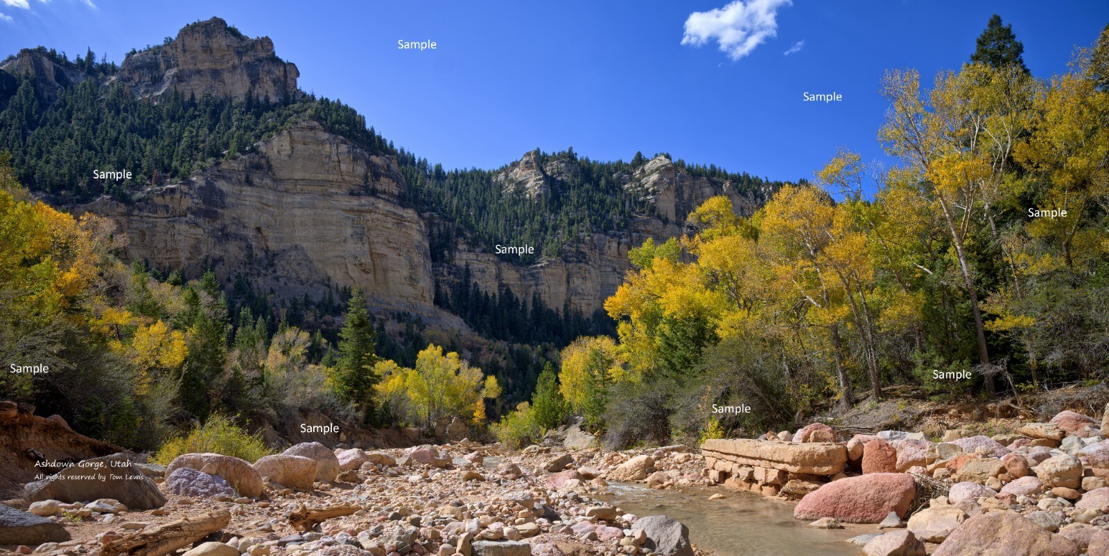 Ashdown Gorge, east of Cedar City, Utah Landscape Photo Poster Print AG02