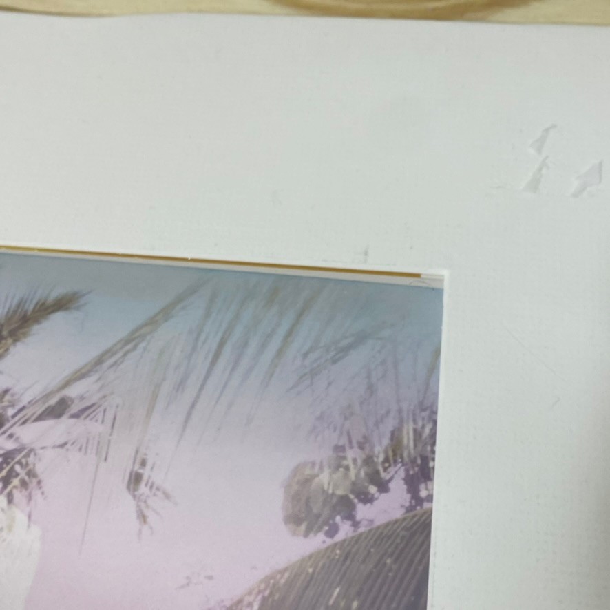 Niki Butcher Key West 1983 Photo Print Signed 41/250 Hand Colored 10×14″ FL Art