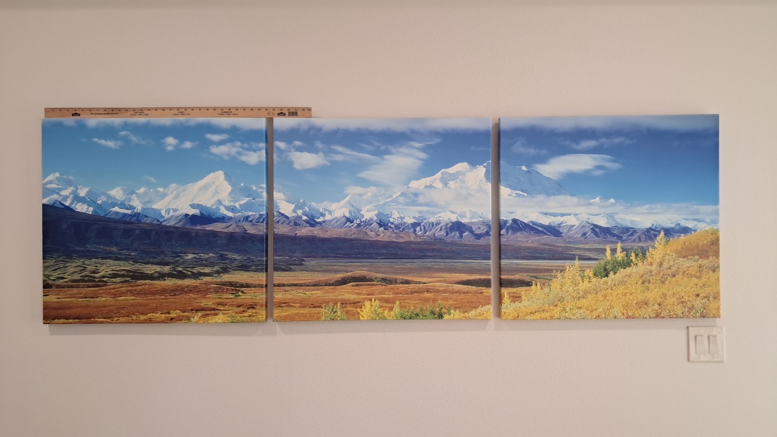 HUGE! 3x 30″x28″ Triptych print on canvas – Denali National Park.