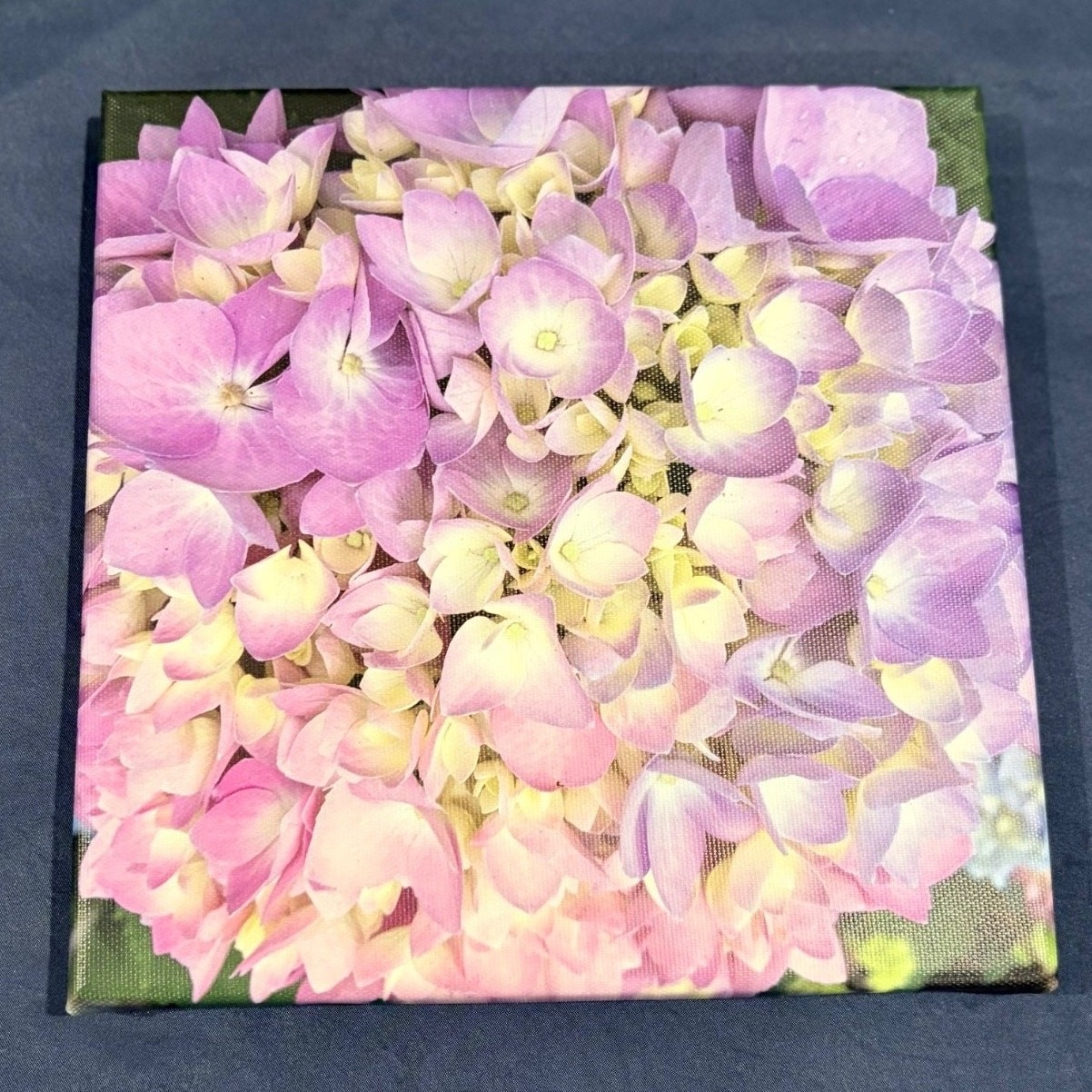 Purple Hydrangea Original Nature Photography Canvas Print Wrapped 8″ x 8″ Canvas