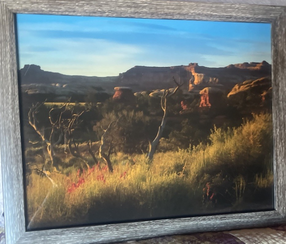 Photograph Of Desert In The Springtime Framed 15 1/2 X 12 1/2