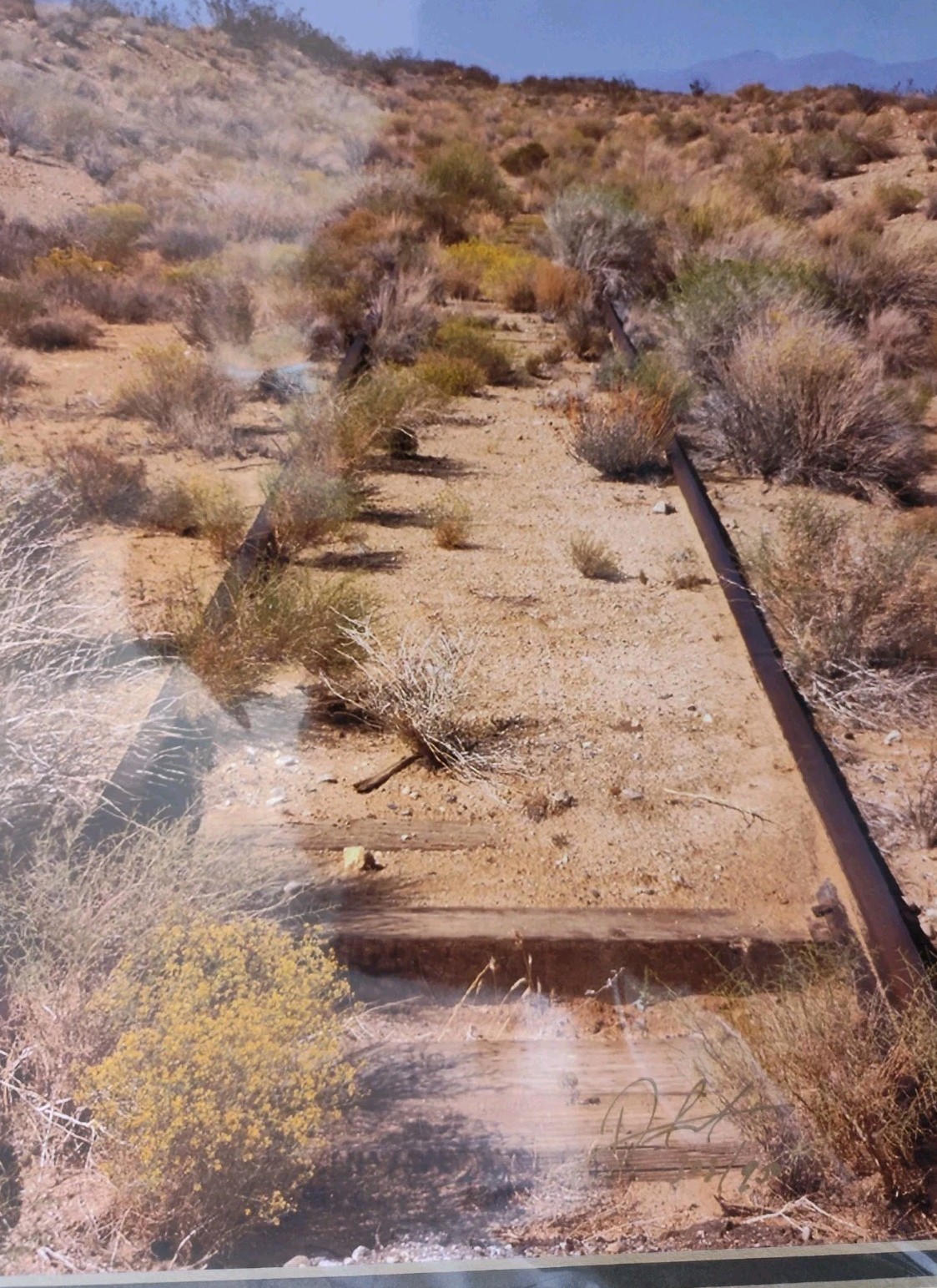 Don Schimmel Signed Numbered Photo 303/950 Photography Art “End Of The Line”