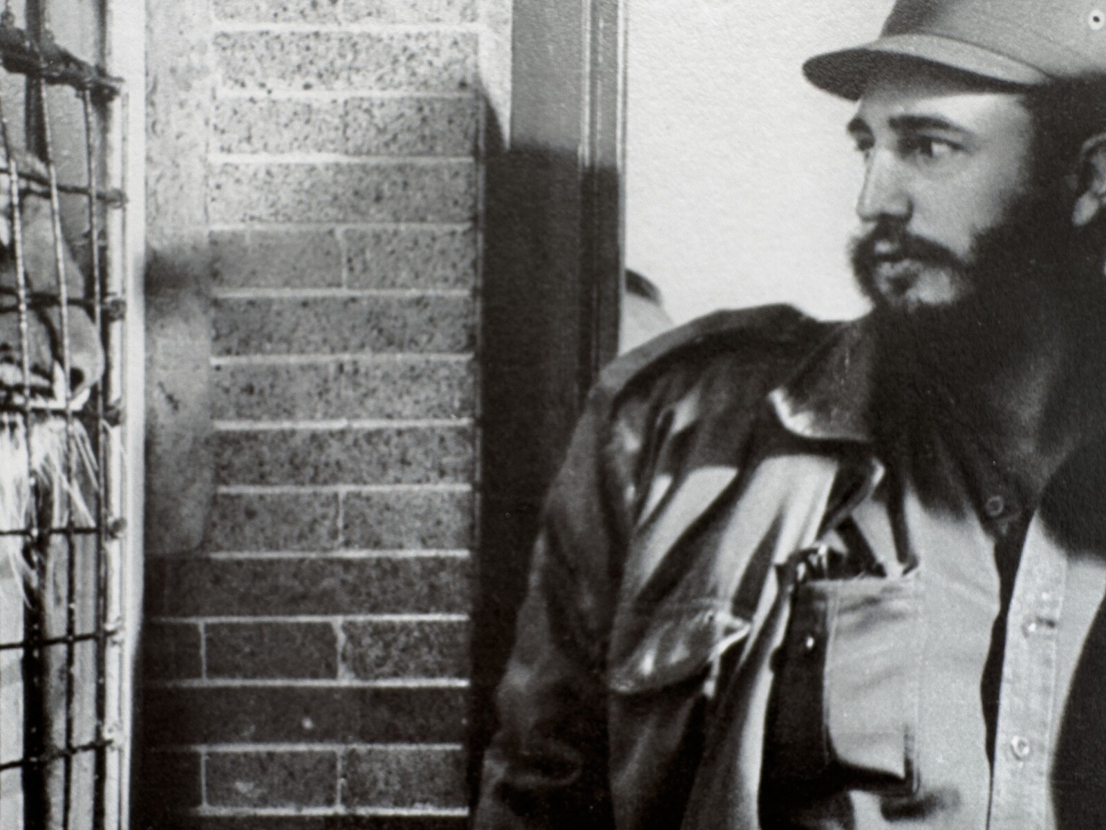 Fidel Castro and the Caged Tiger – Symbolic Moment by Korda Vintage Print