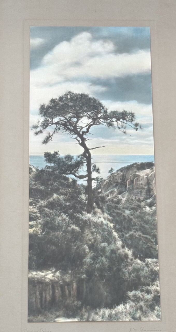 Lg VTG J.M. Garrison Hand Tinted Oil Color Photo Torrey Pines 12.5”x23.5” VGC