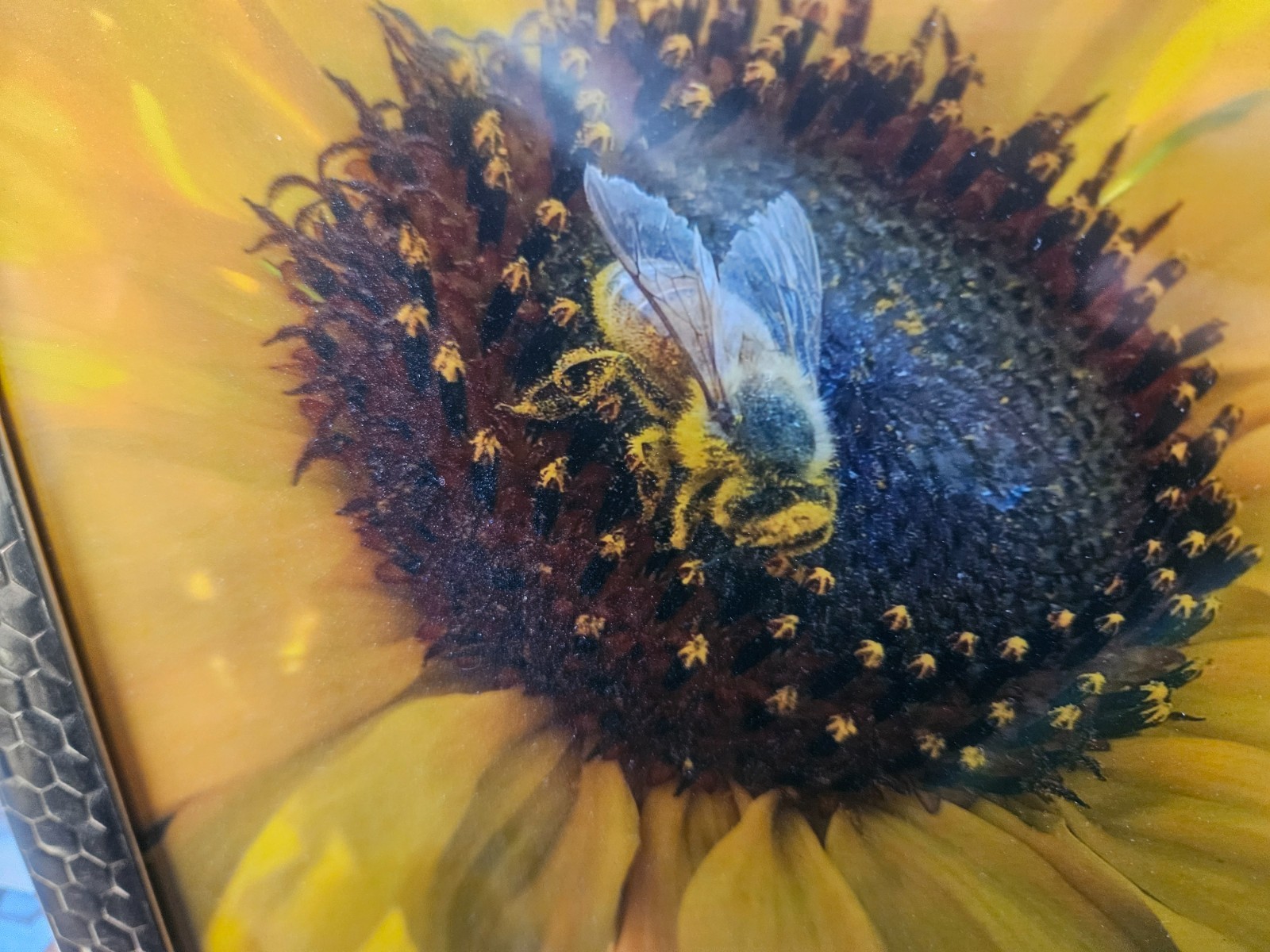 8×10 Signed Honeybee Sunflower Photo Ornate Gold Honeycomb Frame by Audra Deane