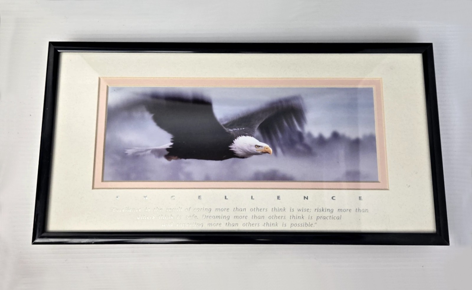 Excellence King Of The Skies Eagle Photo Art Framed Frank Oberle Photography