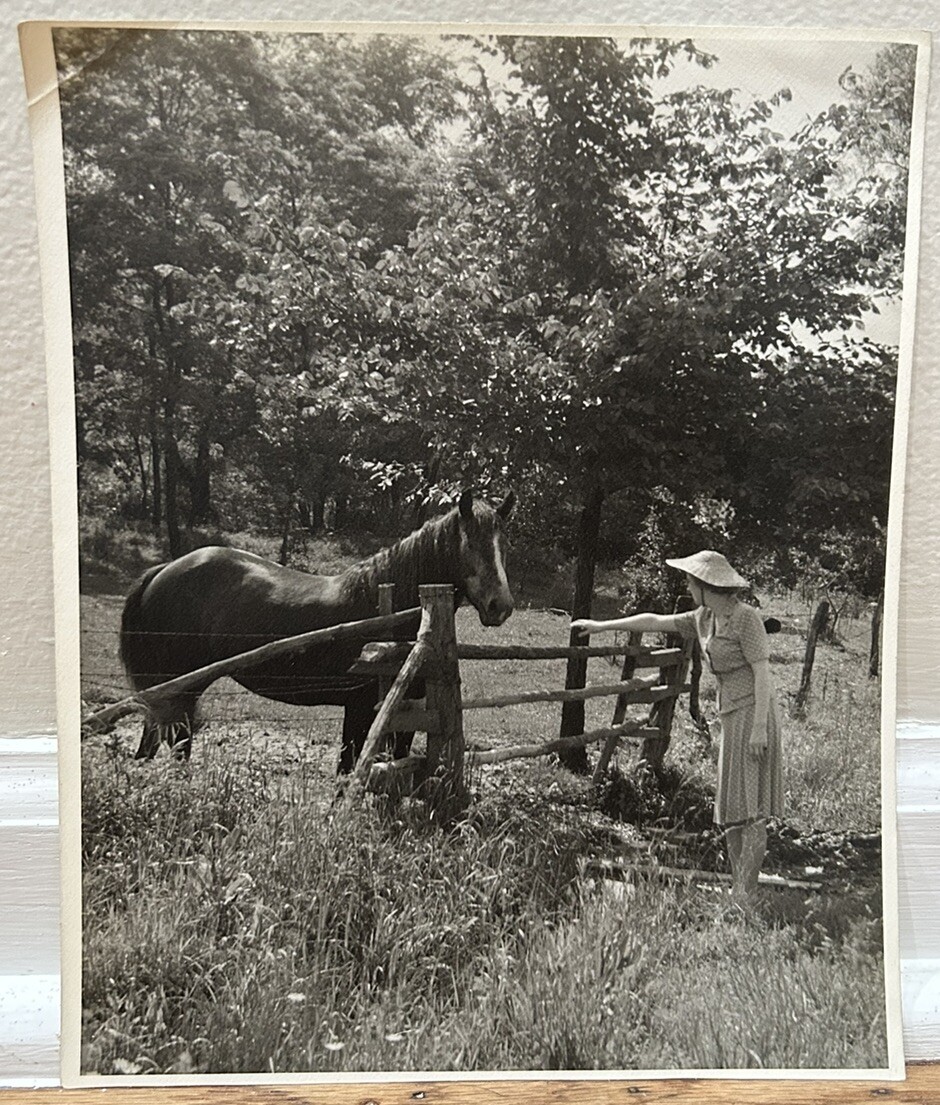 Arthur Gray Standard Oil Photographer Cleveland Ohio Beautiful Woman Horse Look!