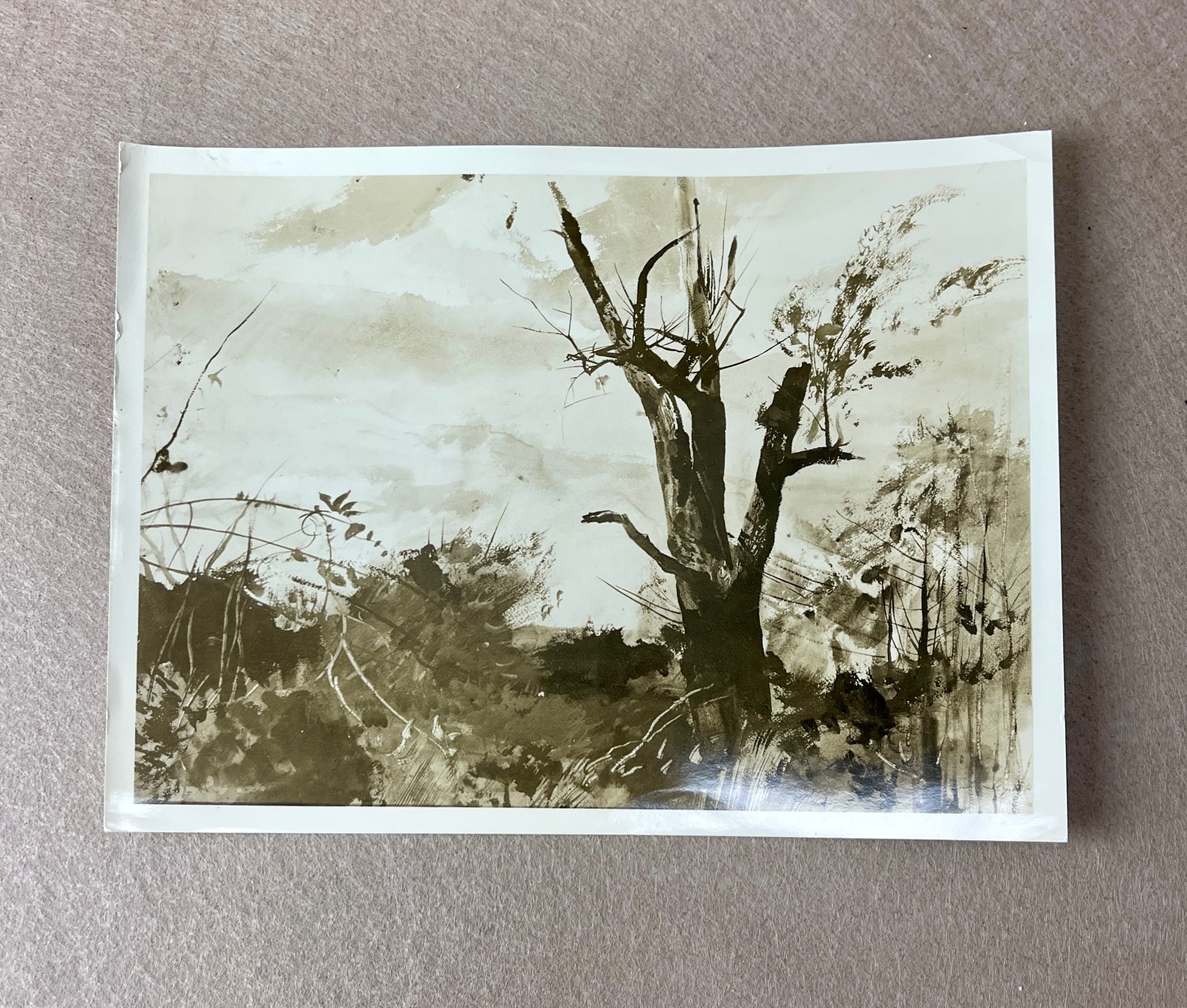 Lot of 3 Vintage Andrew Wyeth Watercolor Reference Photos | Macbeth Gallery | NY