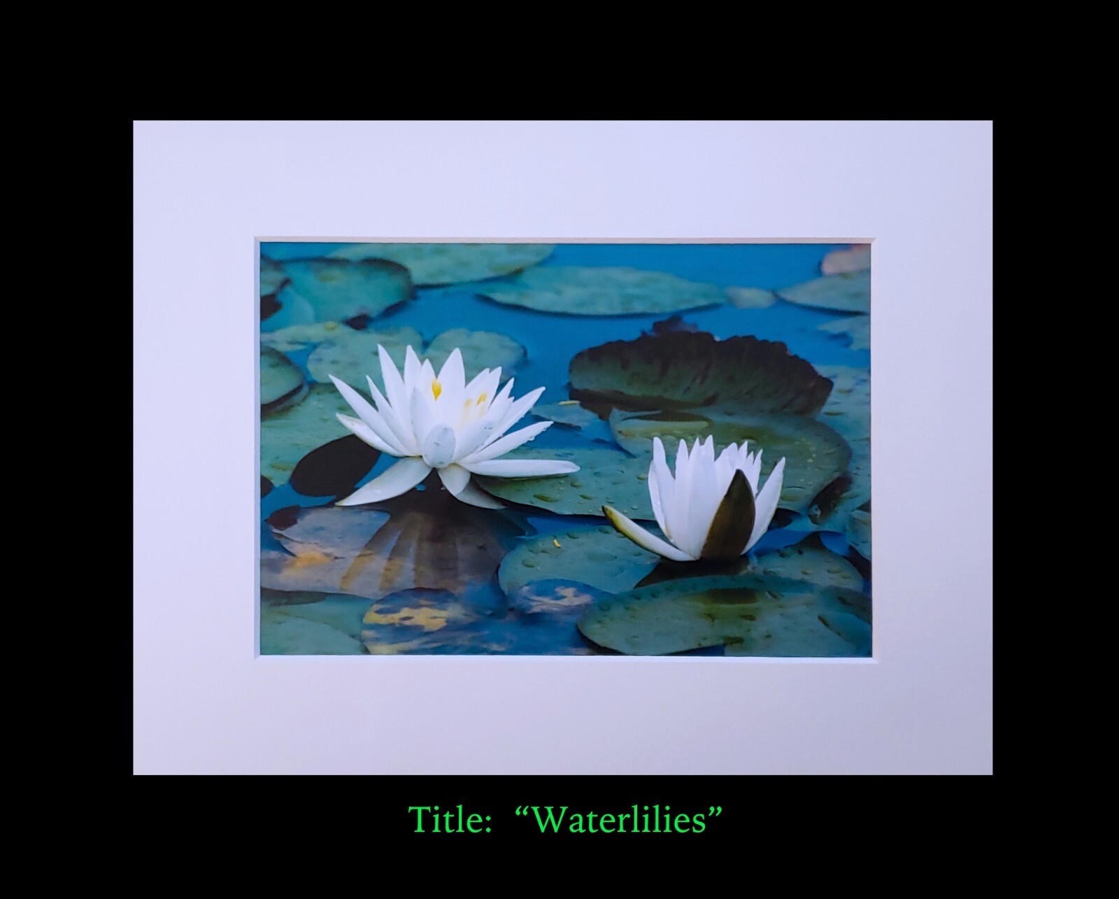 matted photograph, 5″x7″ print, mounted 3/16″ foam with 8″x10″ single white mat