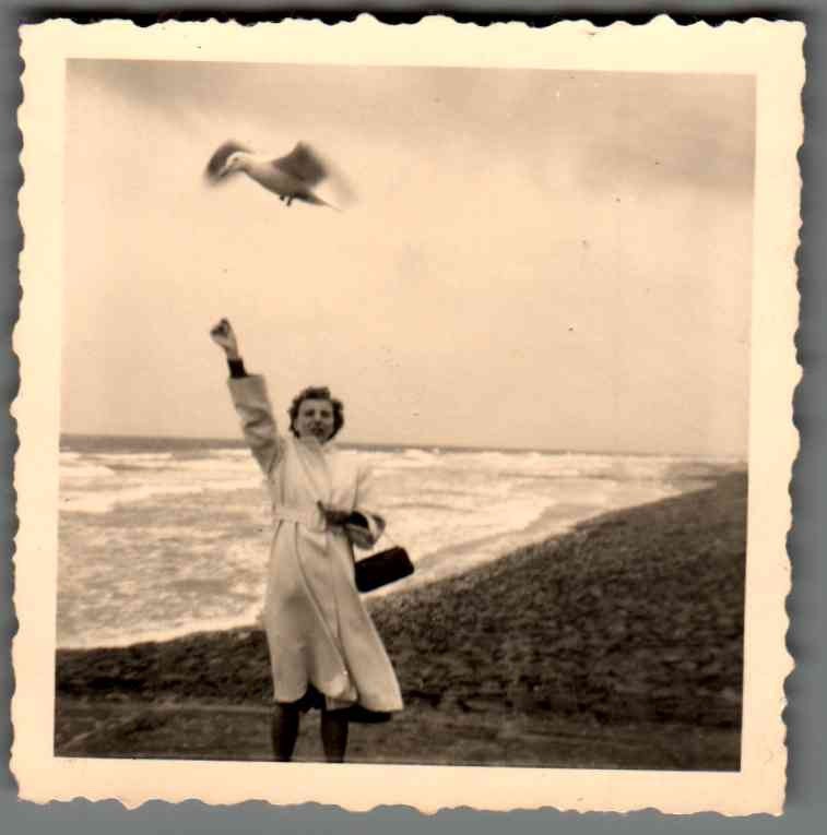 Vintage Photographs Bundle Juist North Sea Beach Holiday Family 5x Photo (K2007)