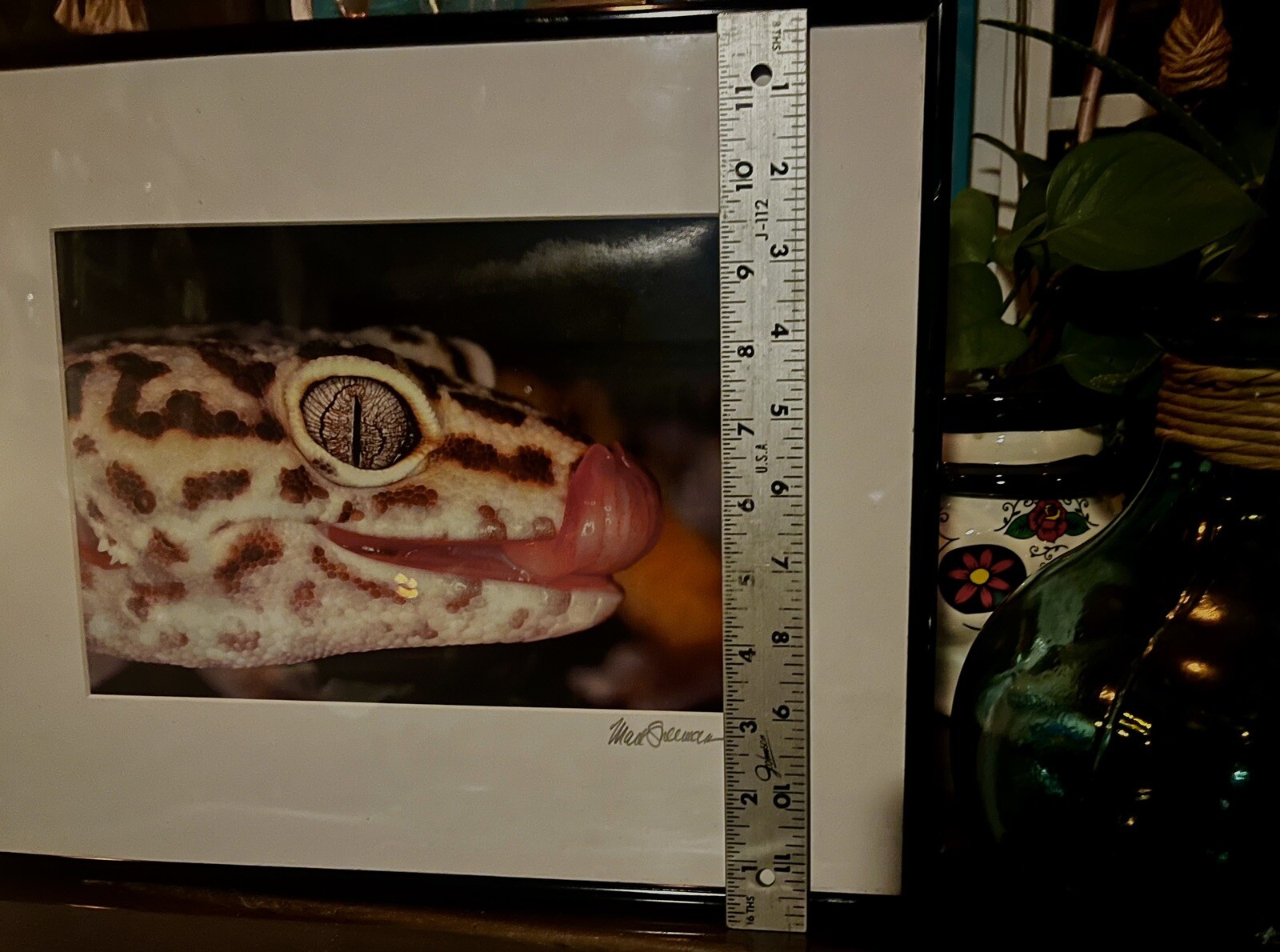 The Leopard Gecko -Close-Up Reptile Photography- Artist Signed