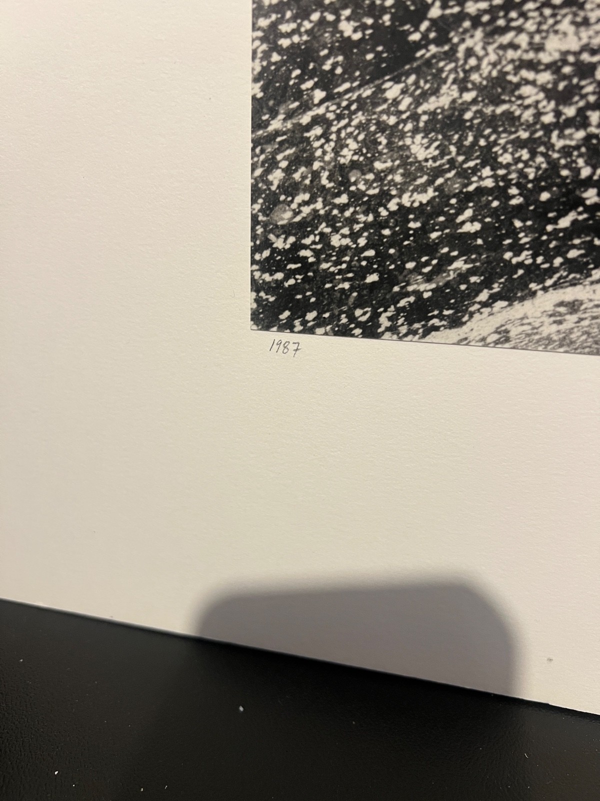📸 1988 Museum Print Ansel Adams Award Jim Stimson “Pine Pollen Tamarack Lake”