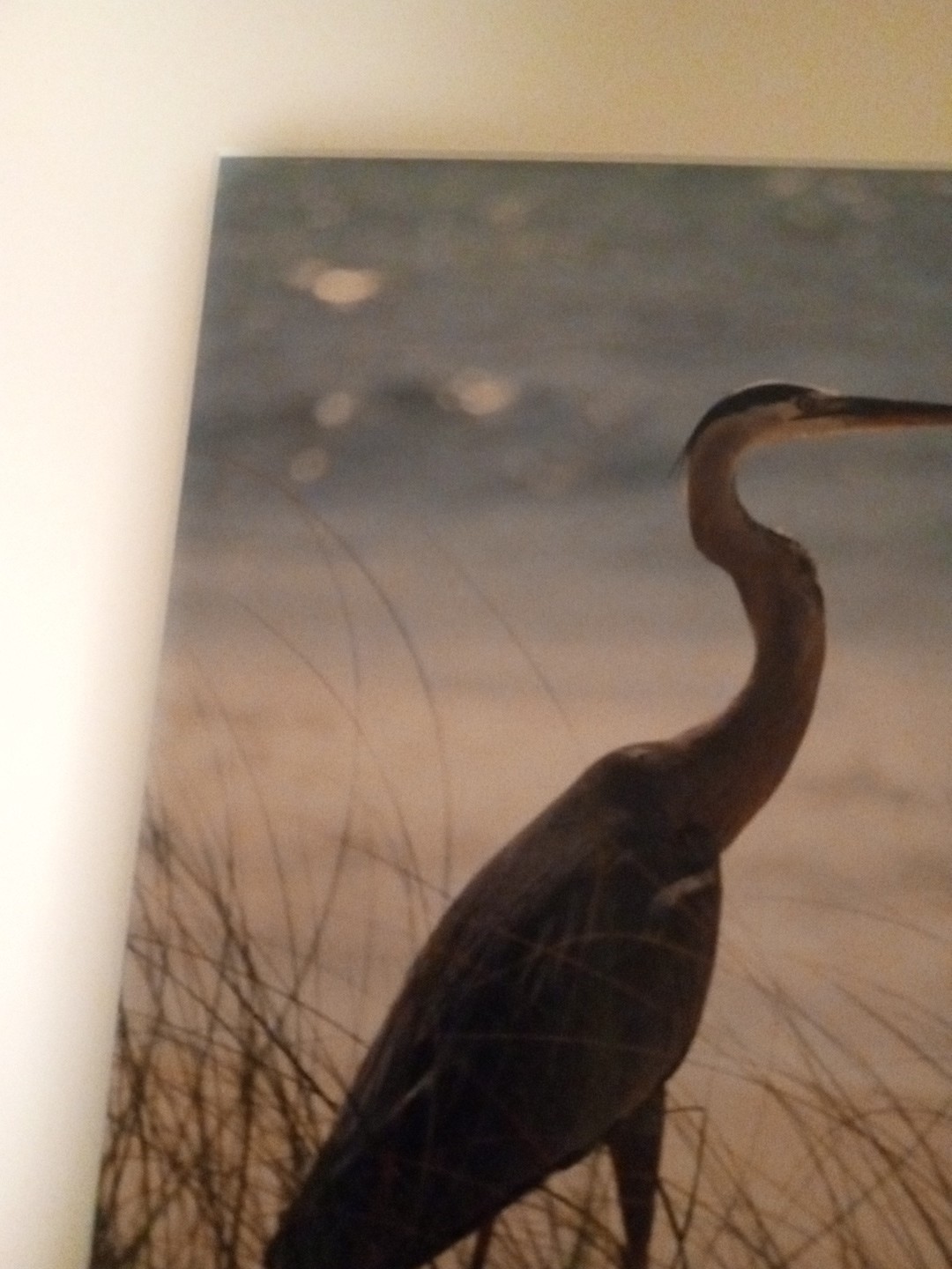 BLUE HERON Art Print Photography Signed Erica Boerma