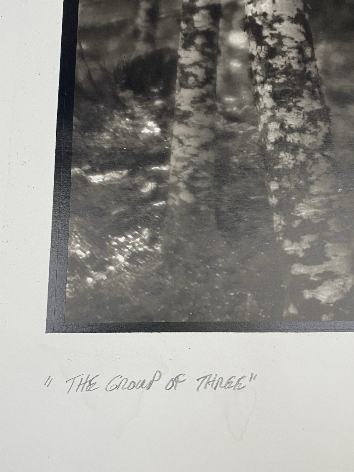 Jim Fitzgerald The Group of Three Signed Photograph Carbon Transfer
